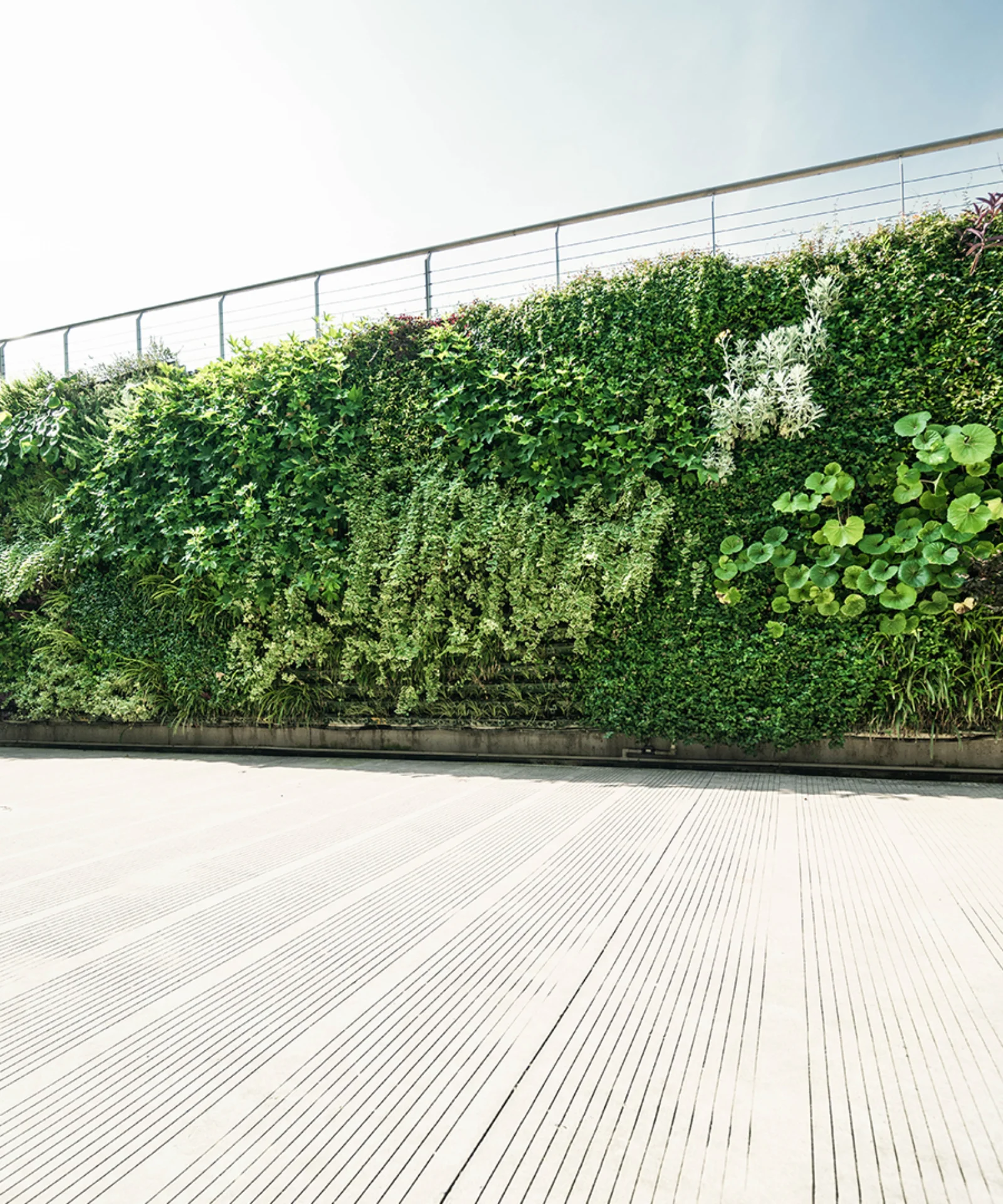 Sustainable Architecture with Vertical Green Wall Design gft-image-sustainability-02.jpg