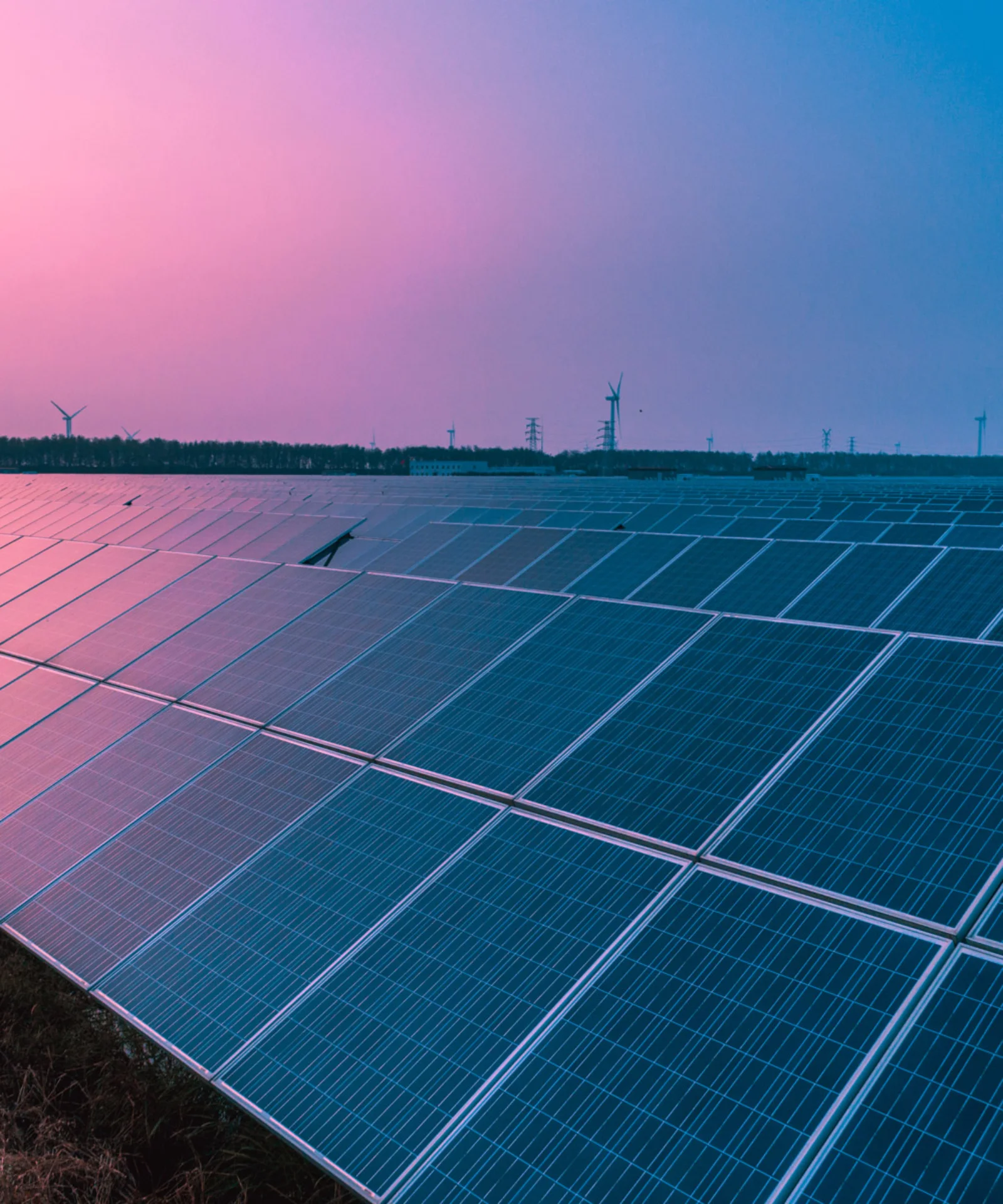 Solar panels and wind turbines at sunset, illustrating GFT’s commitment to reducing greenhouse gas emissions and achieving its SBTi-approved climate targets.