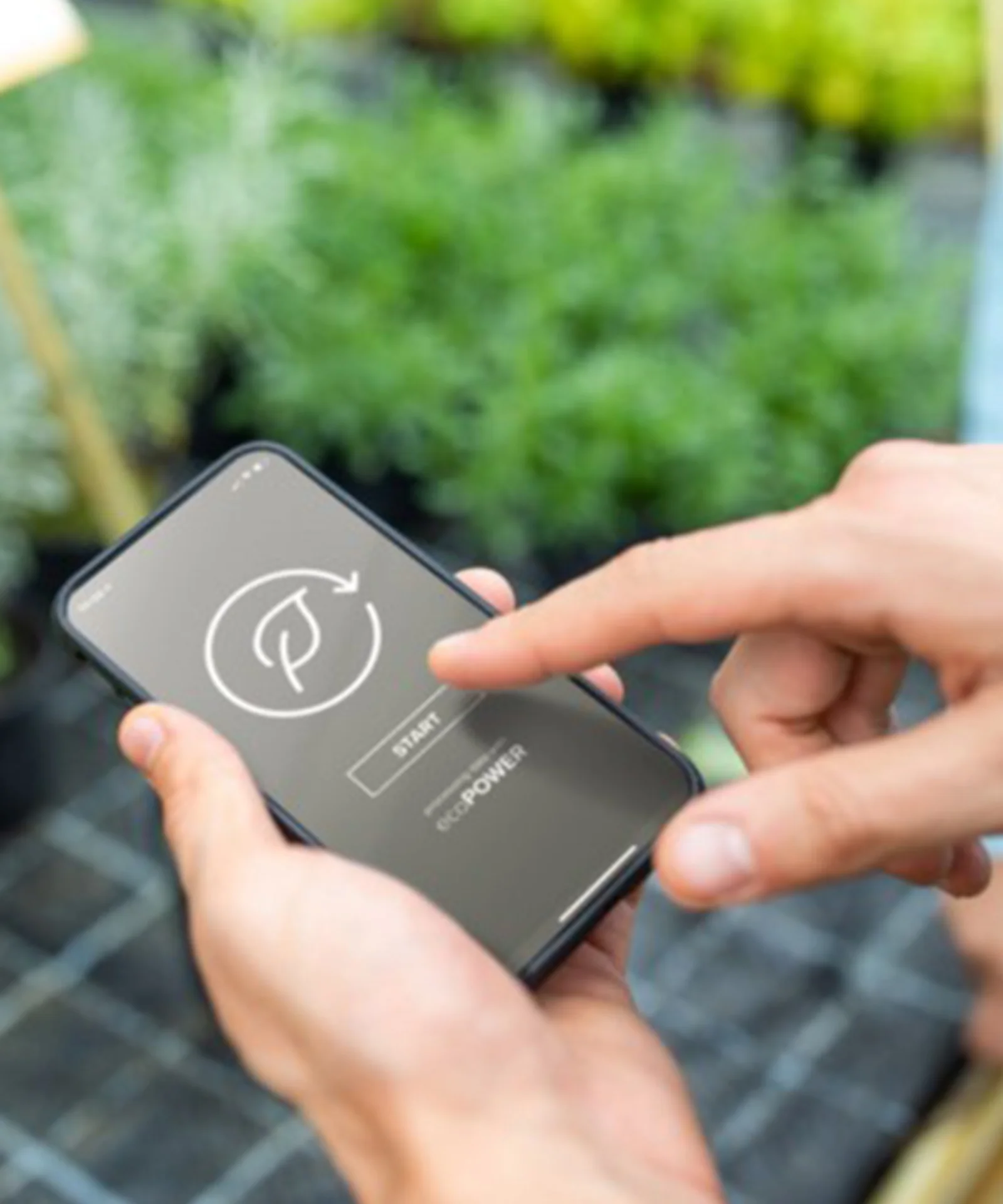 This teaser visual showcases hands interacting with a smartphone that displays a green task scheduling app. The background is a blurred view of a greenhouse, symbolizing the integration of technology with eco-friendly practices. The image highlights the concept of carbon-reduced data processing and the future of sustainable technology solutions.