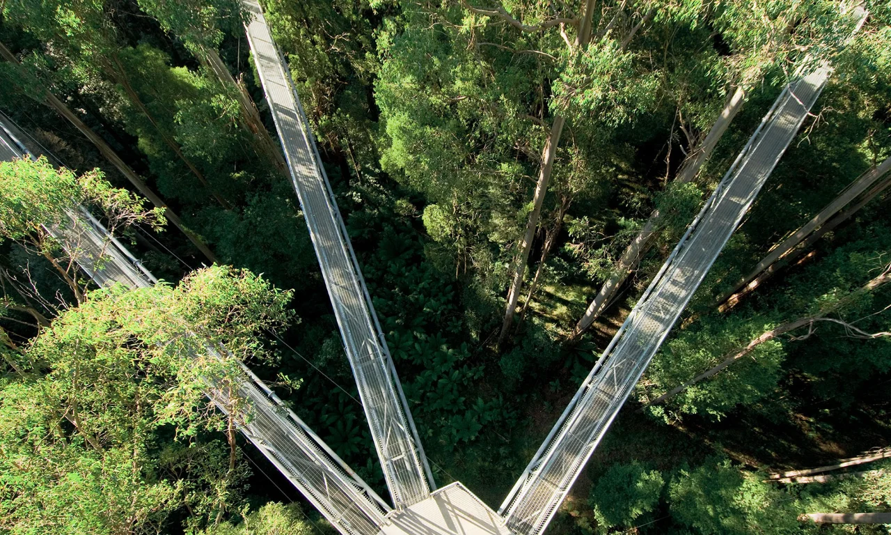 Esta imagen representa el concepto de GreenCoding a través de una vista aérea de tres pasarelas elevadas que convergen en un denso dosel forestal. La imagen simboliza los tres pilares interconectados de GreenCoding, haciendo hincapié en la sostenibilidad, la eficiencia y la innovación en las prácticas de desarrollo de software. El fondo verde del bosque refuerza el enfoque ambiental de las iniciativas de GreenCoding.