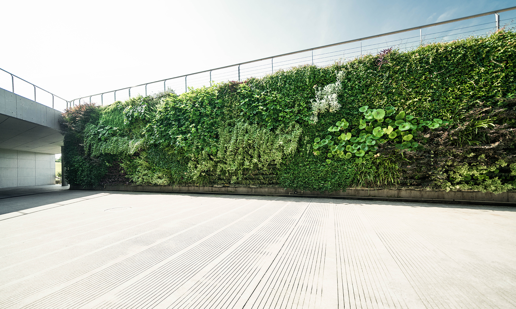 Sustainable Architecture with Vertical Green Wall Design gft-image-sustainability-02.jpg