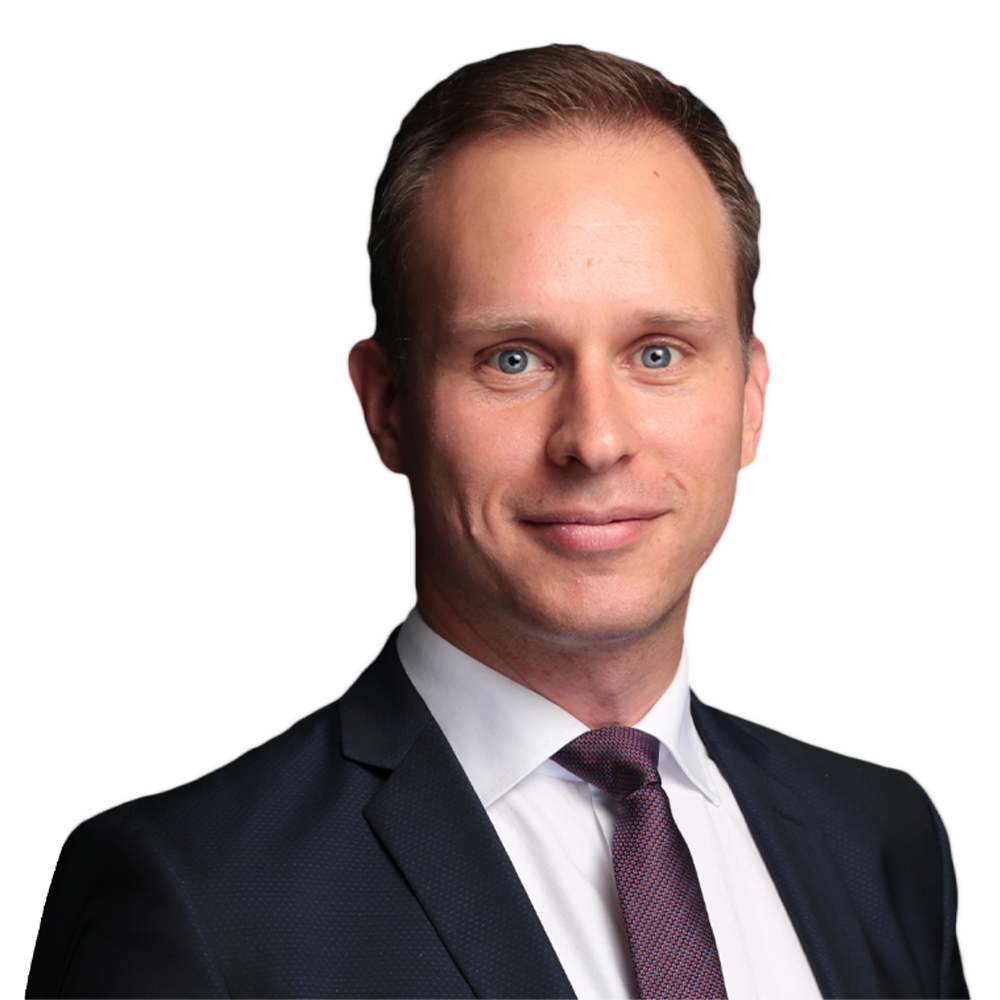 Emmanuel Naudin Emmanuel_Naudin_Guidewire.png